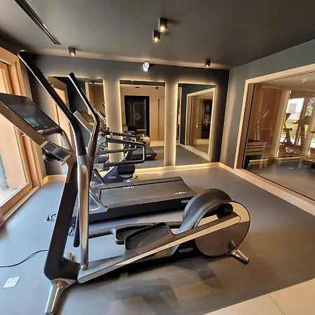 Prestige 6 Pers, Centre Les Gets, A 150m Des Pistes, Avec Terrasse Et Equipements Luxueux - Fr-1-598-147 *